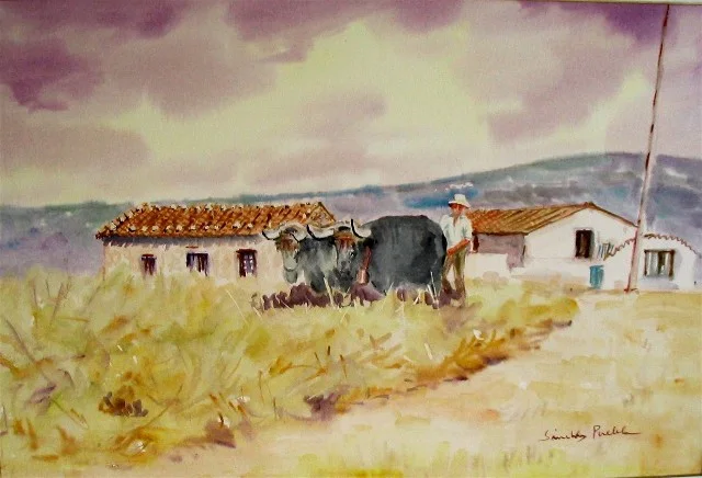 Acuarela · 144