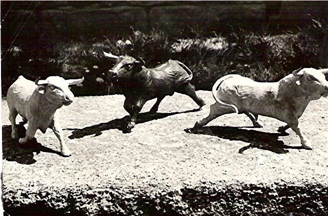 Talla de toros